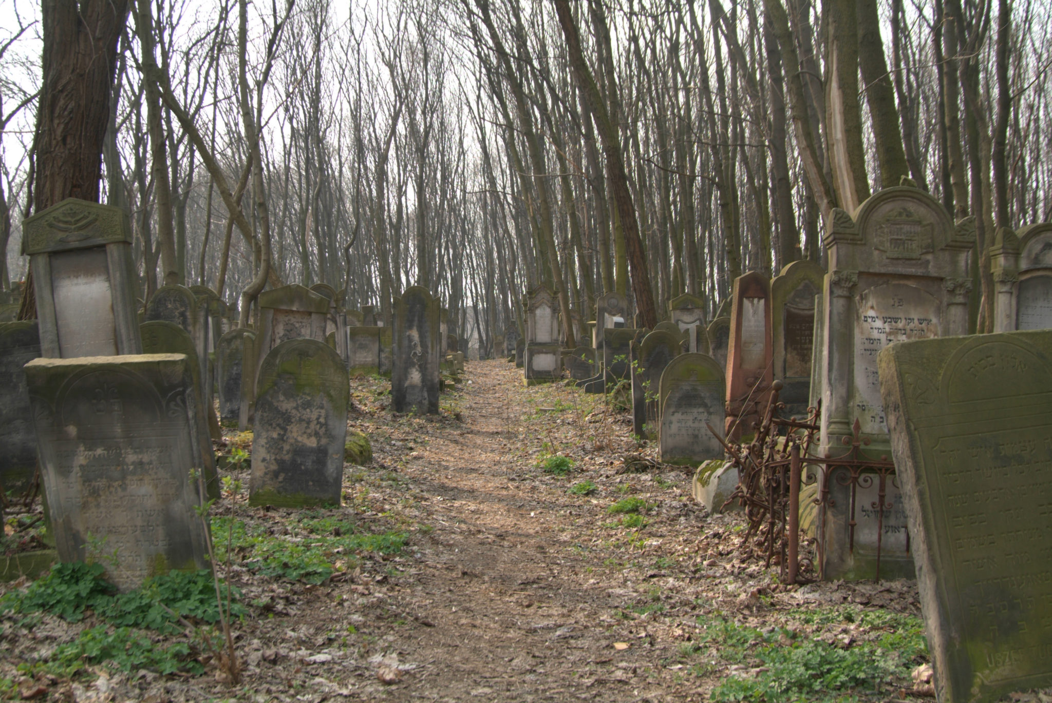 Cemetary___3_by_mjranum_stock