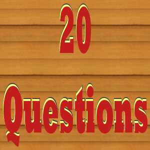 20-questions